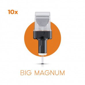 Cheyenne Cartridges - Big Magnums - Doos van 10