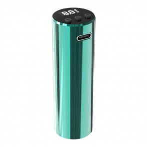 Dragonhawk - Mast Tour Y22 - Accupack - Groen