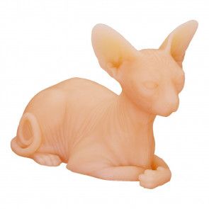 Chat en Silicone - Peau d'Entrainement