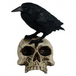 Raven on Skull - 18 cm